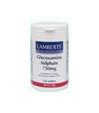 LAMBERTS GLUCOSAMINE SULPHATE 750MG 120TABS Αρθρίτιδα